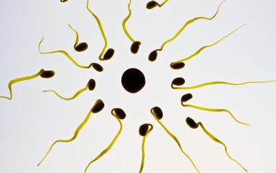 Was ich gerne über IVF vorher gewusst hätte?