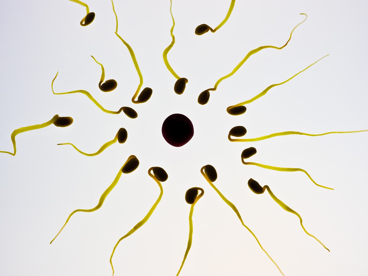 Was ich gerne über IVF vorher gewusst hätte? Ein unerfüllter Kinderwunsch ist eine große Herausforderung im Leben einer Frau